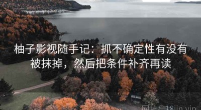 柚子影视随手记：抓不确定性有没有被抹掉，然后把条件补齐再读