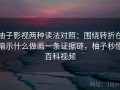 柚子影视两种读法对照：围绕转折在暗示什么做画一条证据链，柚子秒懂百科视频
