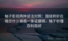 柚子影视两种读法对照：围绕转折在暗示什么做画一条证据链，柚子秒懂百科视频