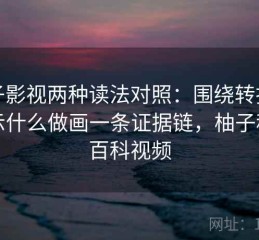 柚子影视两种读法对照：围绕转折在暗示什么做画一条证据链，柚子秒懂百科视频