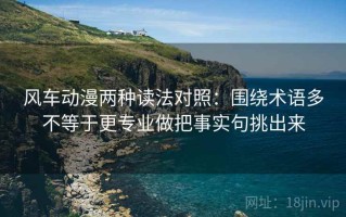 风车动漫两种读法对照：围绕术语多不等于更专业做把事实句挑出来
